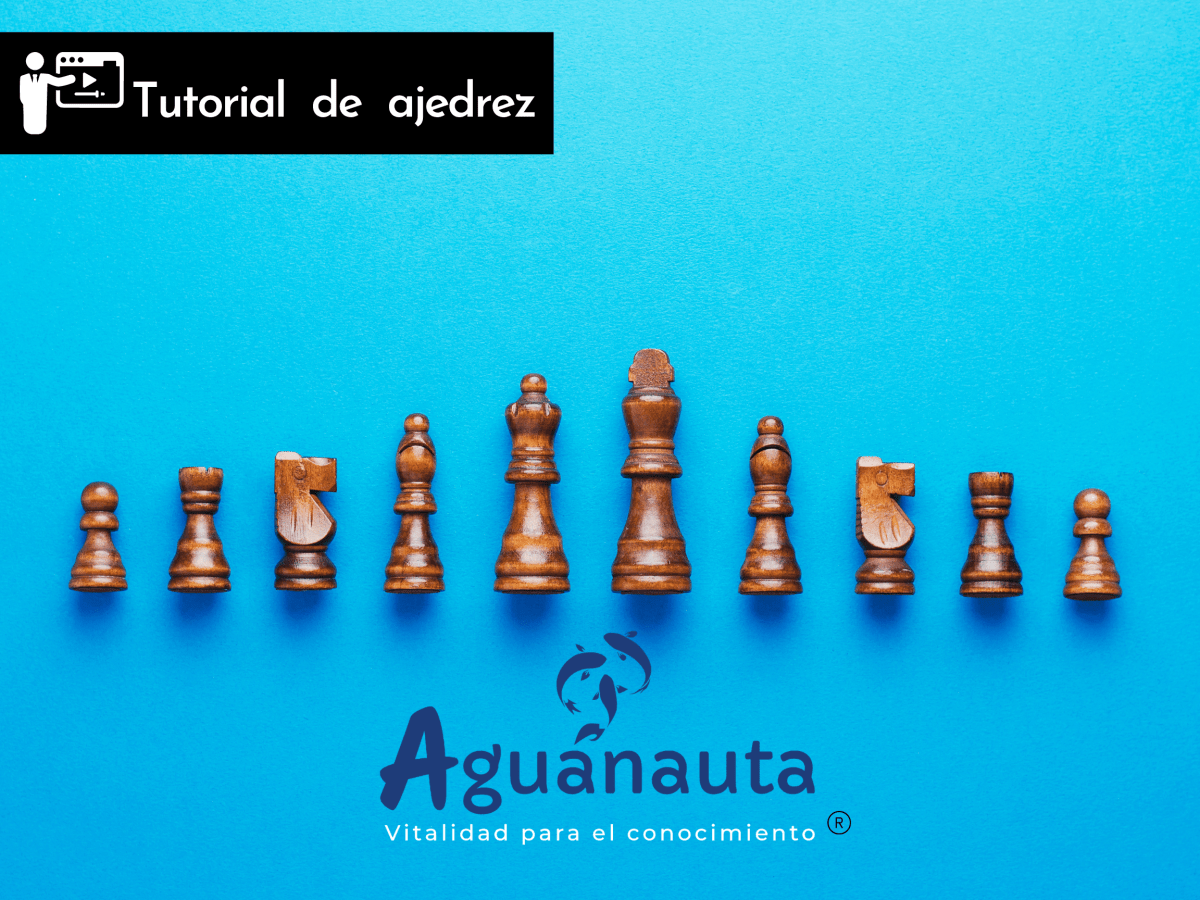 Aprende ajedrez